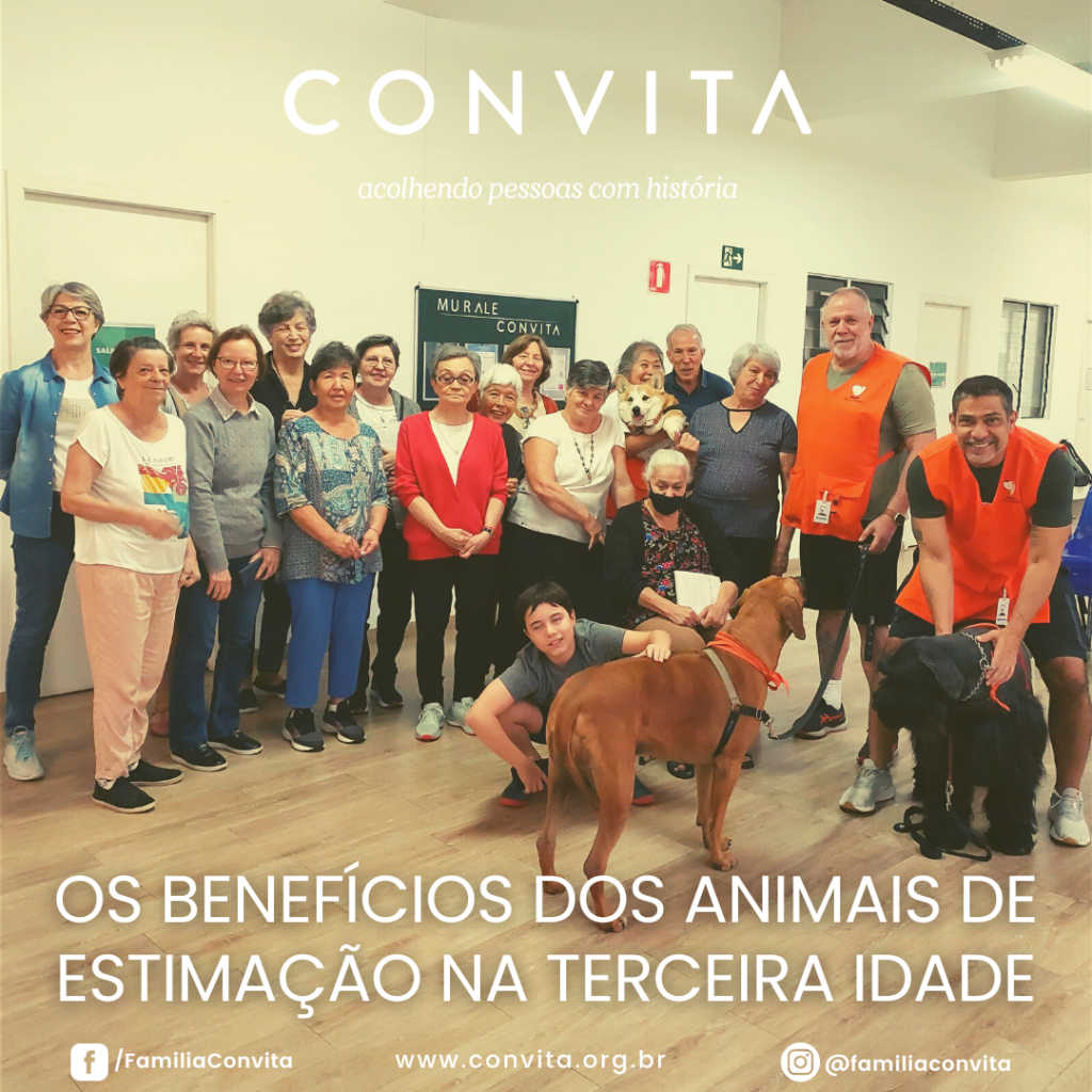 Essa foi nossa motivação que nos fez realizar um encontro bem especial: qual a importância dos animais de estimação na velhice?